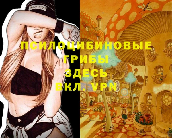 мет Мегион