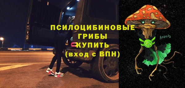 винт Медвежьегорск